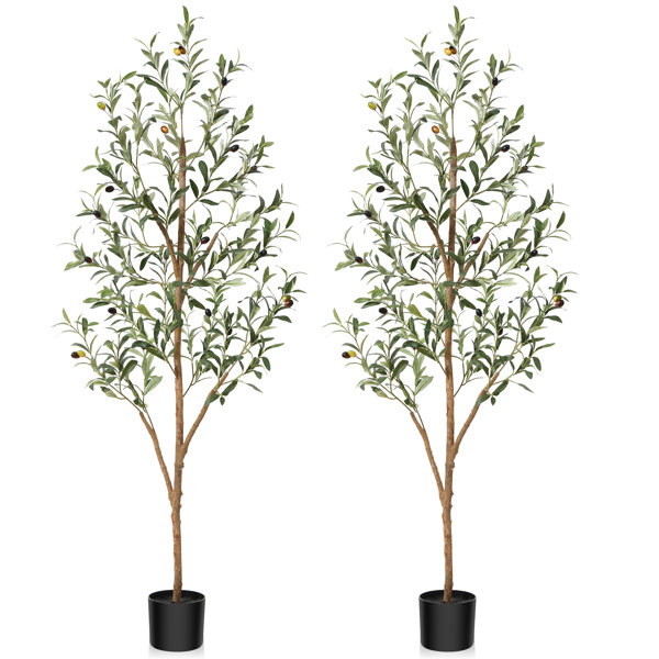 https://assets.wfcdn.com/im/65568748/resize-h600-w600%5Ecompr-r85/2604/260424827/Adcock+Artificial+Olive+Tree+Tree+in+Pot+with+Realistic+Leaves+and+Natural+Trunk.jpg