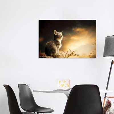 Cat by Milos Karanovic - Wrapped Canvas Print