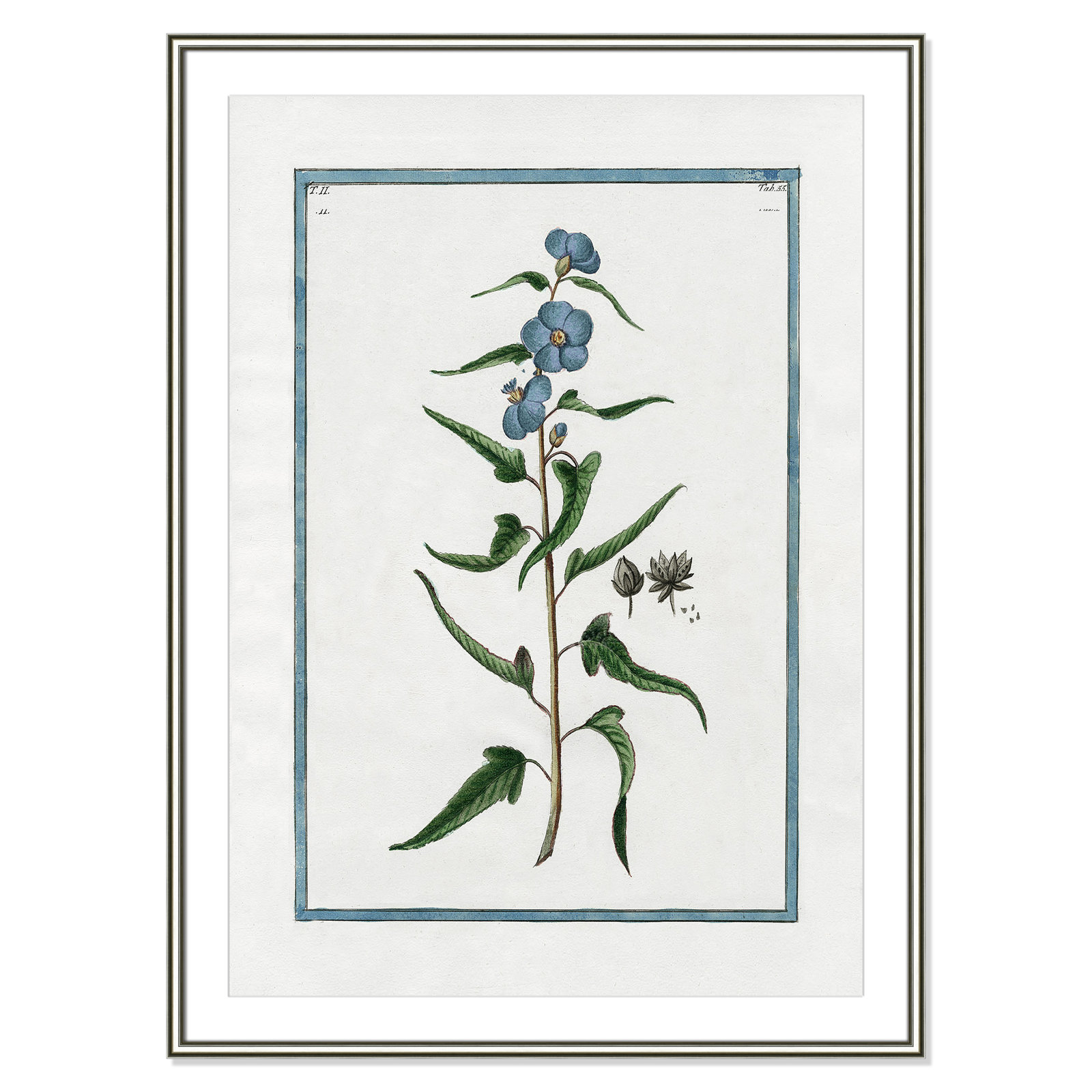 Colombe "Shabby Elegance Botanical I" Print, 30.75" W x 42.75" H, Silver Framed