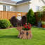 Pot à fleurs sur une souche d'arbre Majestic Eagle avec des ailes déployées - Pot de fleurs décoratif en polyrésine durable pour patio et pelouse - Cadeau de décoration unique
