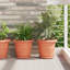 Round Flower Tray 24 Pcs Plastic-942248923-942248927