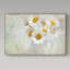 «Daisies Paris Vintage» par Cora Niele, impression sur toile-32707104