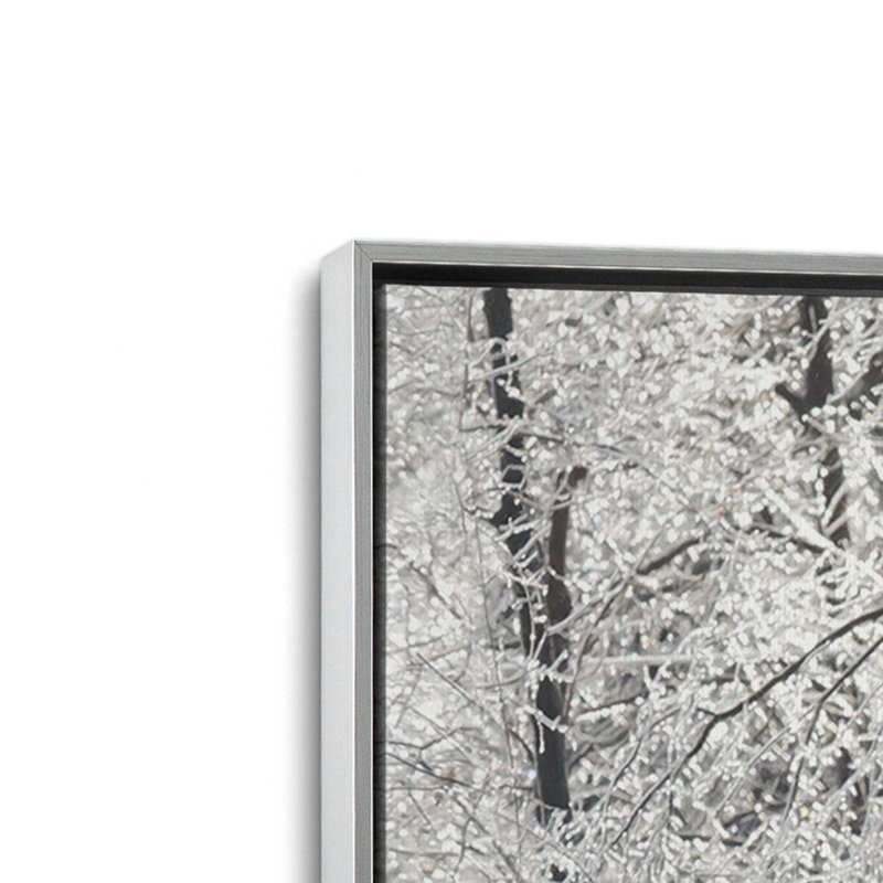 «Icy Rustic Truck» par Lori Deiter, reproduction d'art, L 30 x H 40, Argent, Framed Canvas