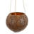 Bungalow Rose Handmade Raindrops Coconut Shell Hanging Planter