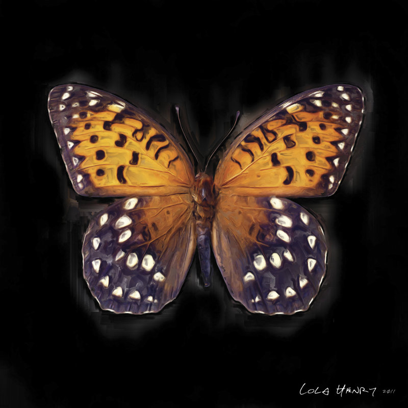 Techno Butterfly IV by Lola Henry - Wrapped Canvas Painting, 30cm H x 30cm W