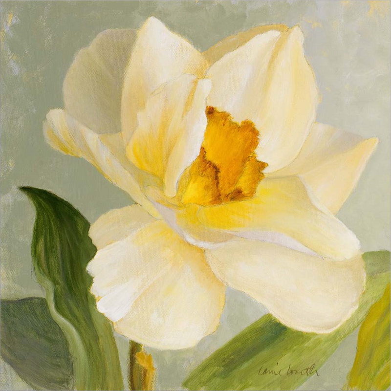 " Daffodil Sky I " Graphic Art Print, 12" H x 12" W x 1.5" D