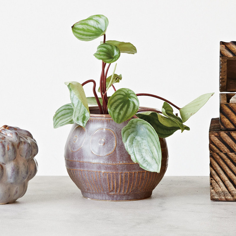 Rialmo Pot Planter