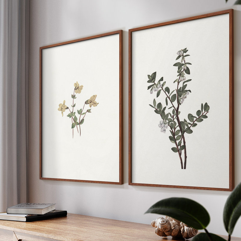 «Vintage Floral XVII», impression giclée sur cadre - ensemble de 2, Noyer, H 17 po x l 42 po