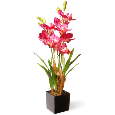 Orchidée mauve / rose 25 po