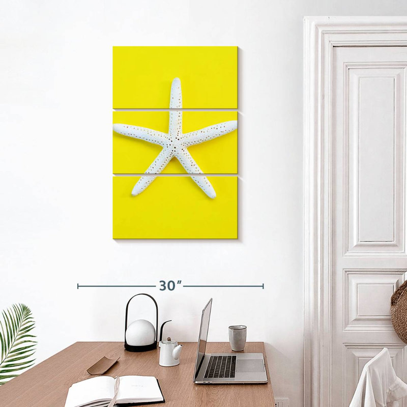 Brampt White Sea Star, 32" H x 20" W