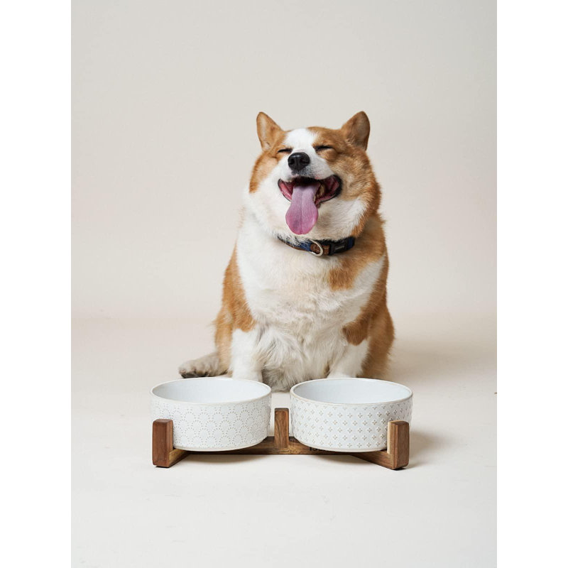 Ceramic Dog Bowls with Acacia Wood Stand for Small to Medium Pets