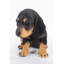 Statue chiot teckel