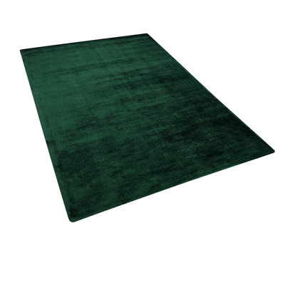 Matlock Rectangle Viscose Hand Woven Area Rug
