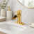 Brushed Gold selected