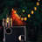 Aliandra Indoor / Outdoor 1 - Bulb 276 in. Plug-in LED Standard String Light