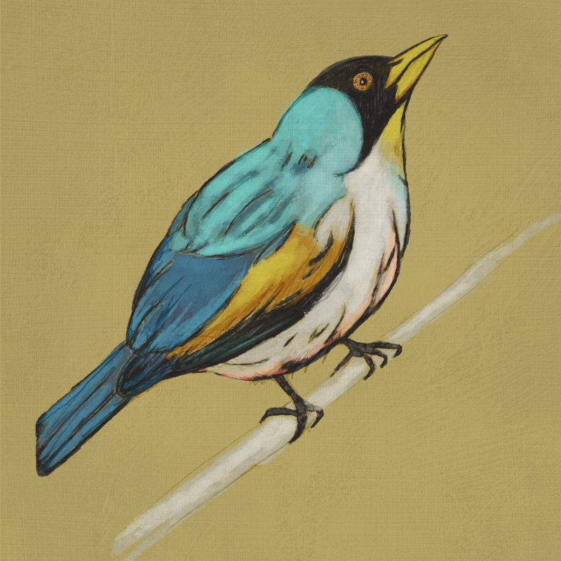 Winged Sketch II On Ochre by Chariklia Zarris - Wrapped Canvas Painting, 30cm H x 30cm W