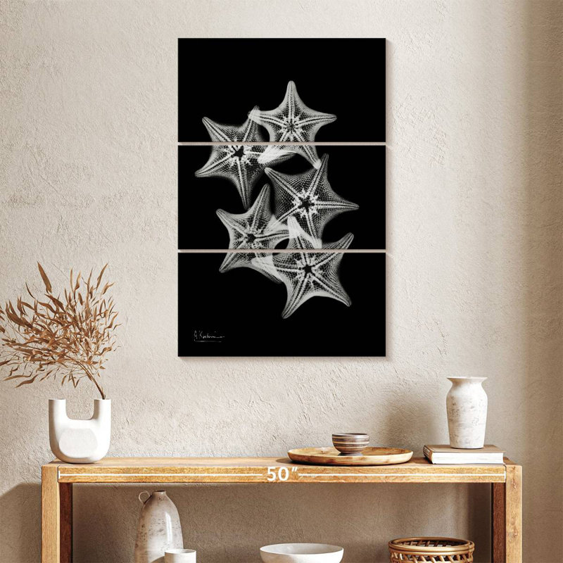 Brampt Starfish Collage, 23" H x 14" W