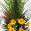 Marigold Medows en pot