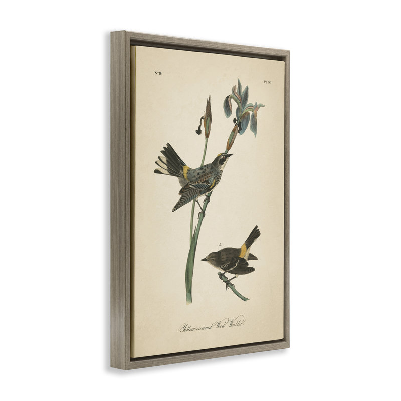 Toile flottante rétro encadrée par Wild Apple, Cadre flottant orme Montalcino, H 25 po x l 17 po