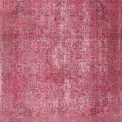 Ahmyra Oriental Indoor Rug