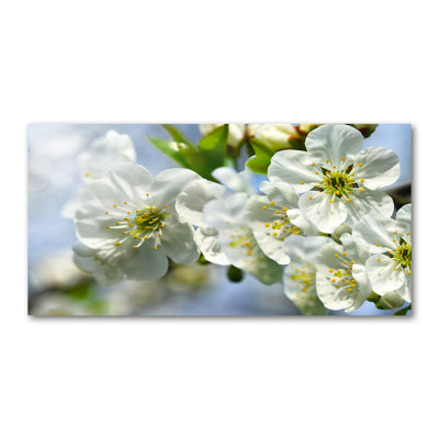 Cherry Blossom - Wrapped Canvas Print