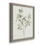 Toile simple encadrée de qualité supérieure - prête à être accrochée-861624951-861624954