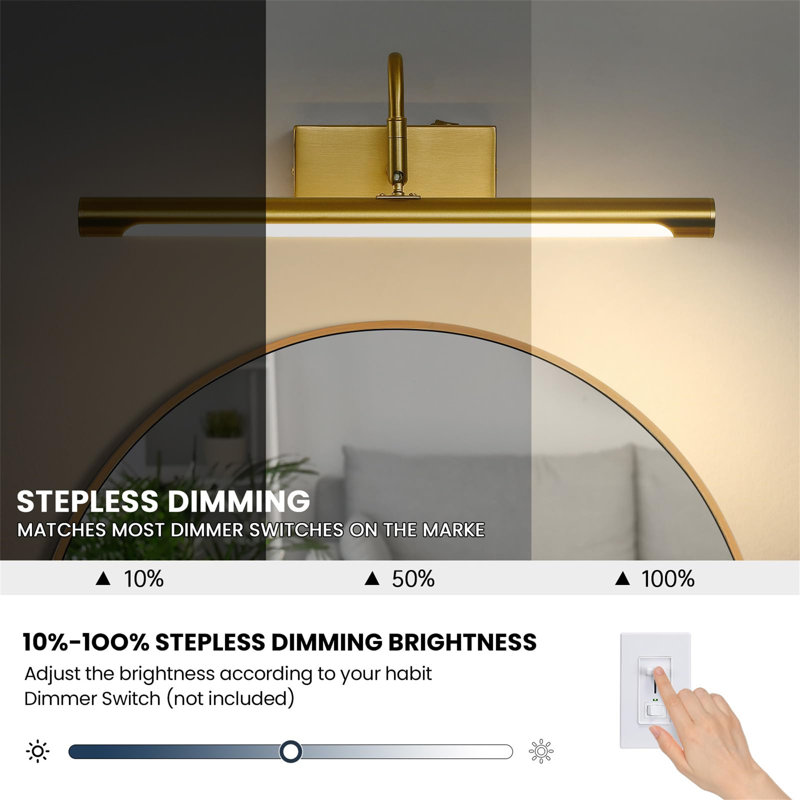 Dimmable LED Wall Mount Picture Light, Rose Gold