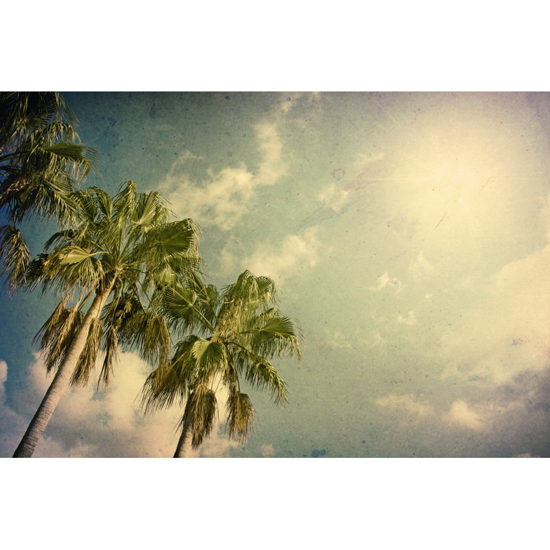 Palm trees, 81cm H x 122cm W