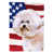 Beige Bichon Frise