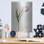 «Light Tulips II» par Debra Van Swearingen-564399076
