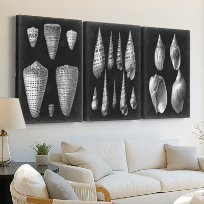 Albâtre coquillages I - Toile tendue avec châssis - 3 pièces