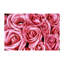 Élégant tapis non tissé à motif floral avec motif floral élégant, idéal pour rehausser les décors intérieurs et donner une touche séduisante à tout espace de vie-114316252