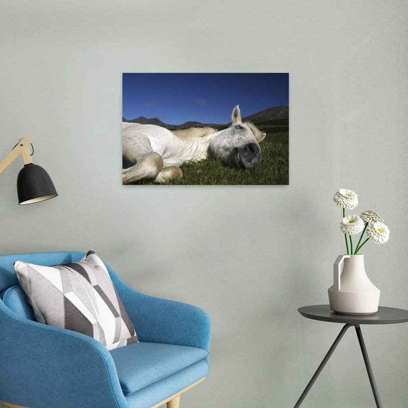 «Happy Sleeping Horse Peaceful Serene Abstract Horse Landscape», reproduction d'art murale, H 16 po x l 24 po