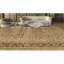 Dharma Oriental Area Rug-2014822177