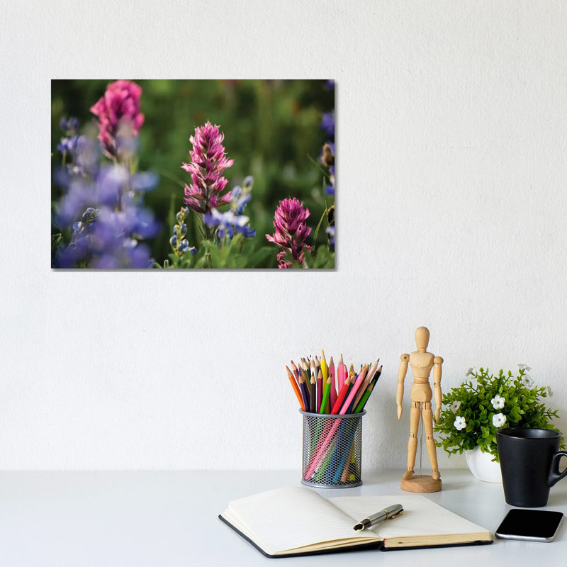 Close-Up of Wildflowers, Mount Rainier National Park, Washington State, USA V 1 Piece Wrapped Canvas Wall Art