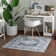 Boylan Oriental Indoor Rug