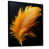 Black Floater Framed