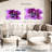 Harnek Purple Flower-107941045