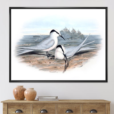 «Vintage Birds in the Wild», impression sur toile