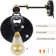 Lemaster Steel Plug-in Swing Arm Sconce