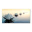 50cm W x 100cm L Glass Peel and Stick Panel
