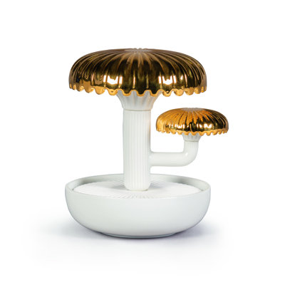 La nuit Boletus approche le parfum