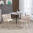 Gabrel 2 Piece Tufted Velvet Upholstered Accent Dining Chairs-1747390021