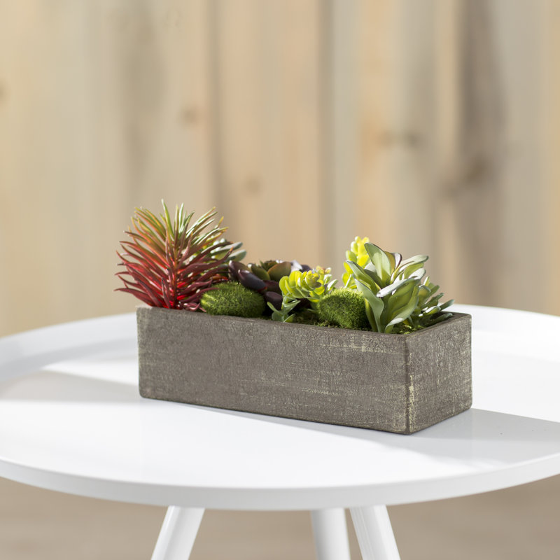 Plante grasse artificielle en bois