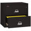 Fireproof 2 - Drawer File Cabinet-217199-331546