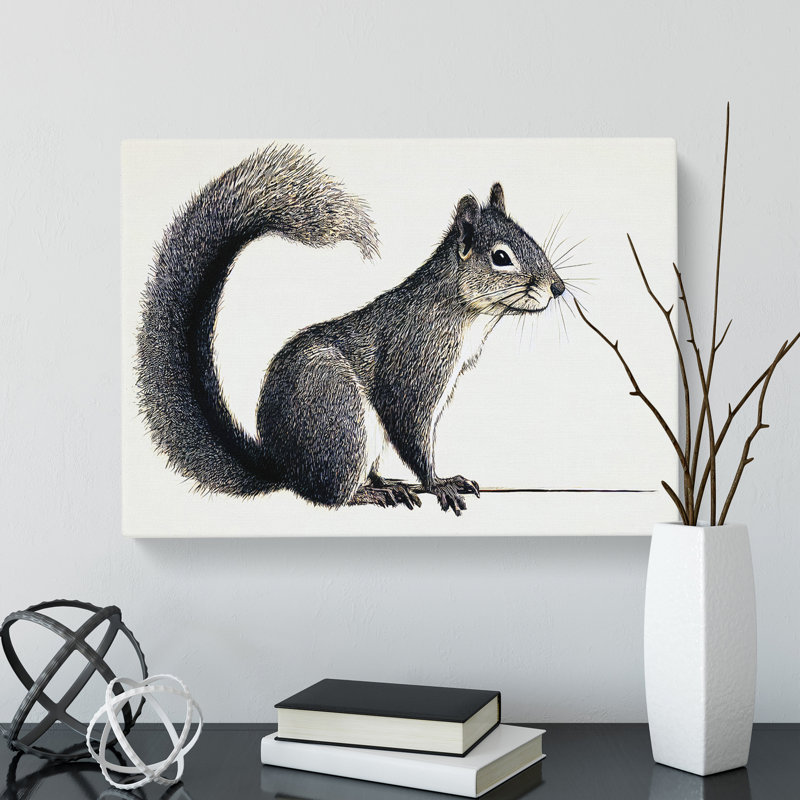 A Pleasant Squirrel - Wrapped Canvas, 35cm H x 50cm W x 3cm D