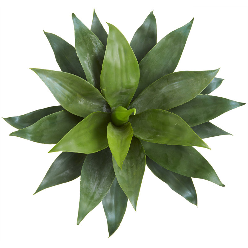 Plante agave artificielle en pot de fleurs
