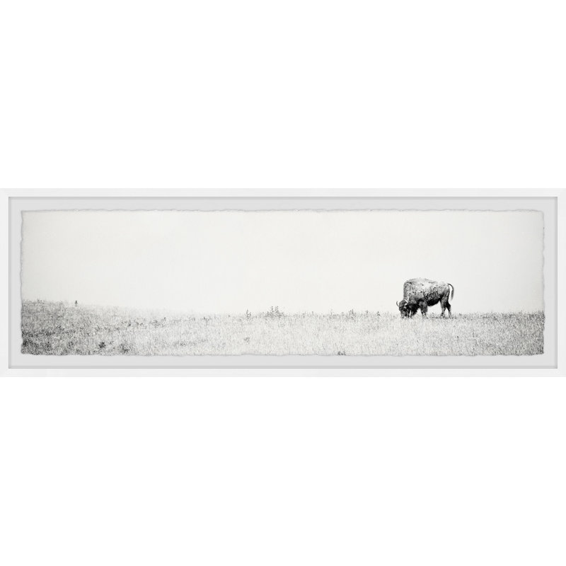 Wild Buffalo - Single Picture Frame Print, 25cm H x 76cm W x 3.81cm D
