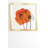 " Orange Poppies " by Morgan Kendall-22036951-22036908