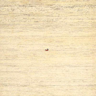 Indoor Rug